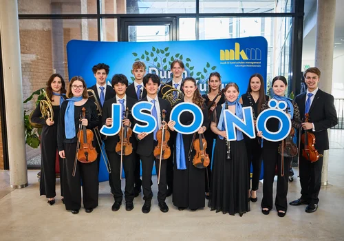 Bezirksfotos Festkonzert JSO NÖ Grafenegg