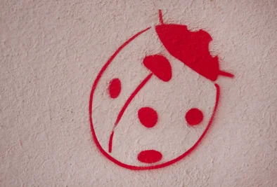 ein als Graffiti gezeichneter Marienkäfer