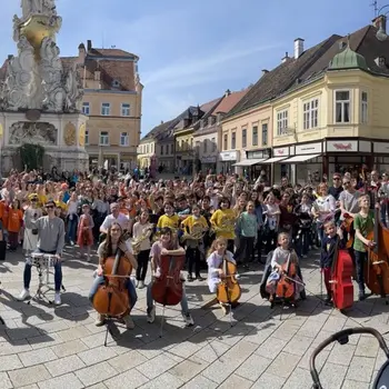 Musikschule der Stadt Baden