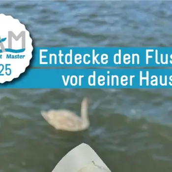 Kunstwettbewerb Danube Art Master 2025