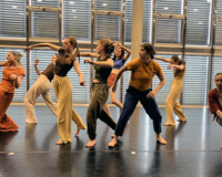 Performance "Forces" Jugendtanzcompagnie NÖ