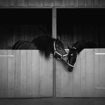 Sparte Nachbarschaft -->