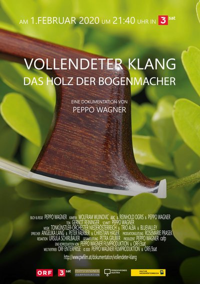 Vollendeter Klang – Das Holz der Bogenmacher