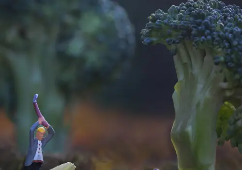 Zwei kleine Figuren hacken Brokkoli, der als Bäume dargestellt wird.