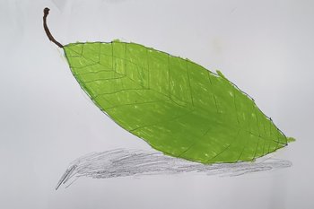 Tolle Werke der Malakademie KIDS Göstling und Malakademie KIDS zum Projekt Wunder-Welt-Wald 2024