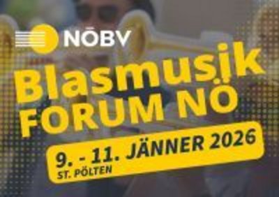 Vernetzungstreffen Dirgierlehrende